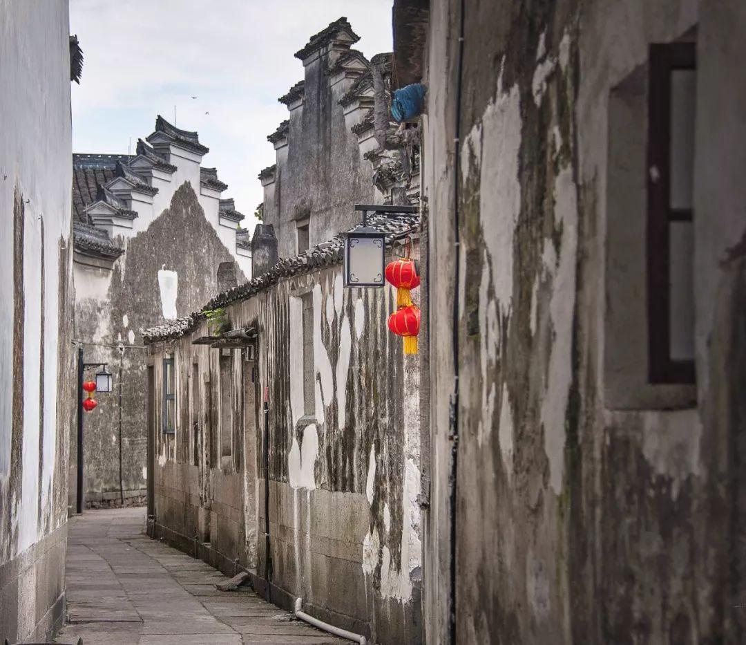 动物帮帮忙保卫家园